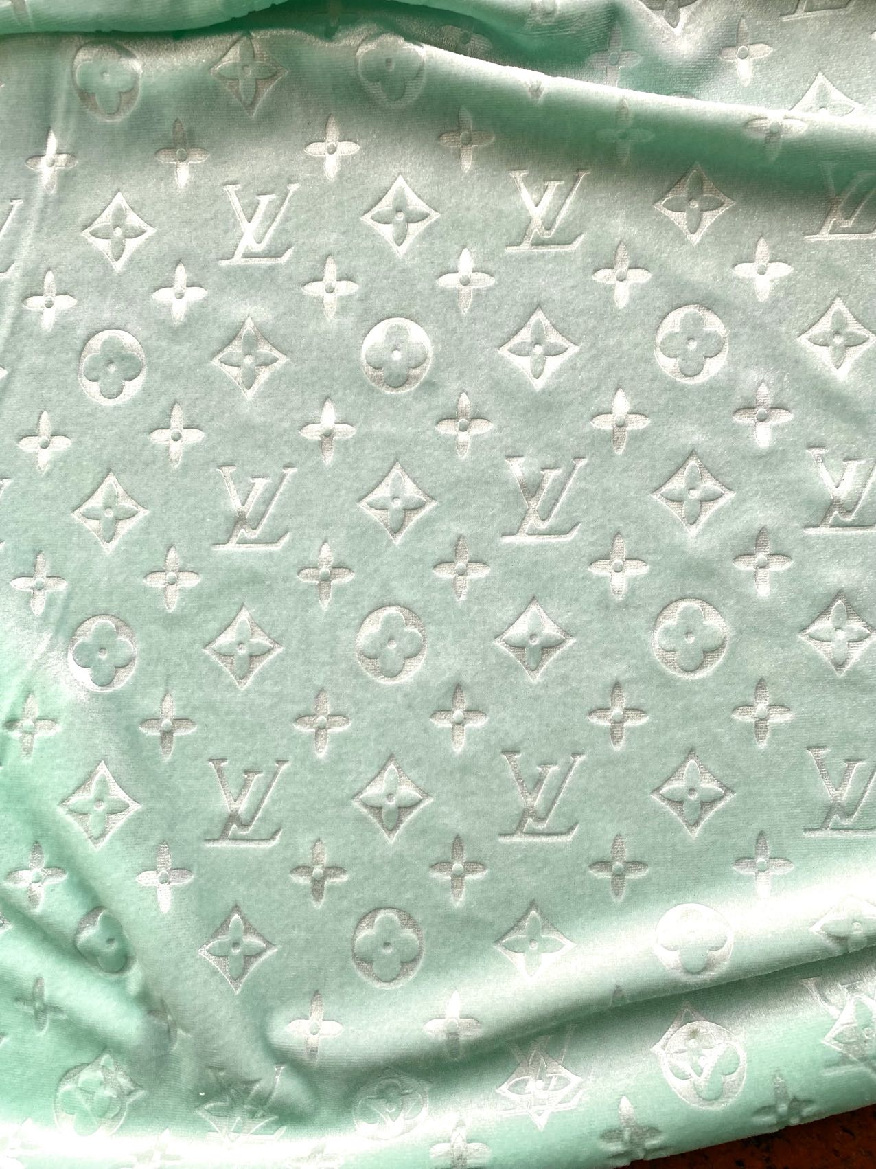 Turquoise Mint Louis Vuitton LV Velvet Shoe Sneaker Fabric