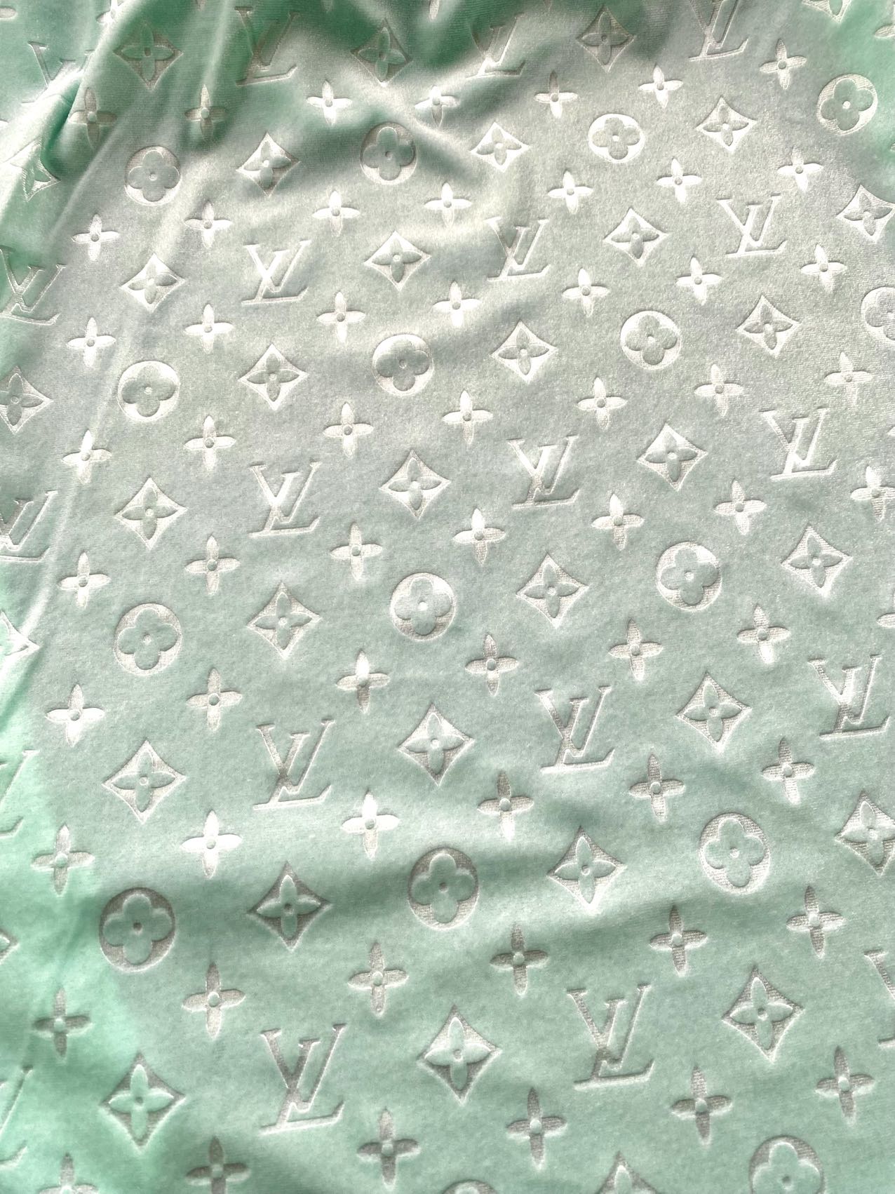 Turquoise Mint Louis Vuitton LV Velvet Shoe Sneaker Fabric